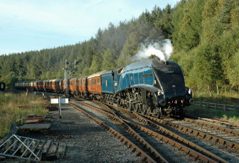 Картинка техника паровозы паровоз дорога железная