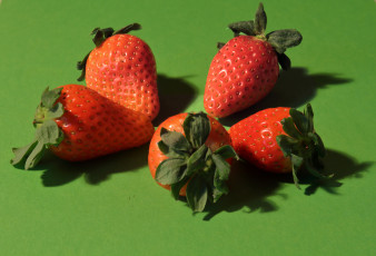 Картинка еда клубника +земляника плоды