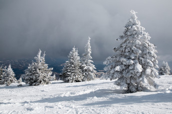 Картинка природа зима снег