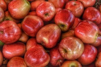 Картинка еда Яблоки плоды