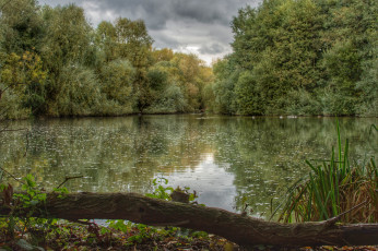 Картинка природа реки озера лес река