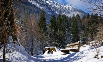 Картинка природа зима снег