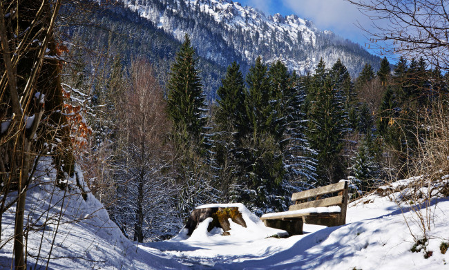 Обои картинки фото природа, зима, снег