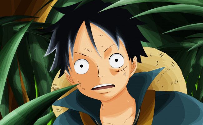 Обои картинки фото аниме, one piece, взгляд, фон, парень