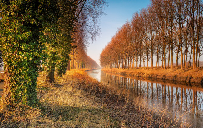 Обои картинки фото природа, реки, озера, река, лес