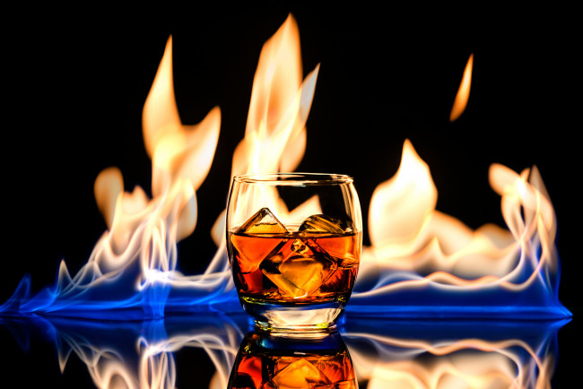 Обои картинки фото еда, напитки, алкоголь