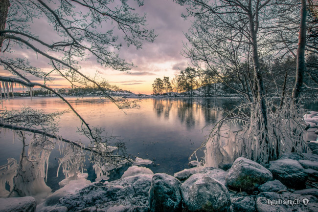 Обои картинки фото природа, реки, озера, лес, река