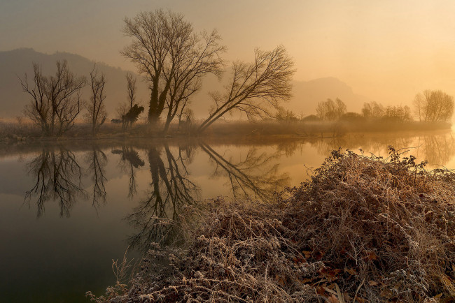 Обои картинки фото природа, реки, озера, лес, река