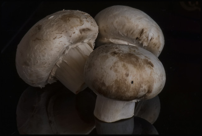 Обои картинки фото еда, грибы,  грибные блюда, шампиньоны