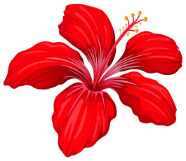 обоя векторная графика, цветы , flowers, цветы, фон, лепестки