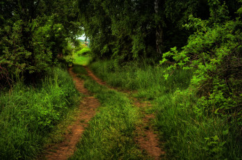 Картинка природа дороги простор