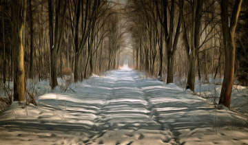 Картинка природа дороги простор