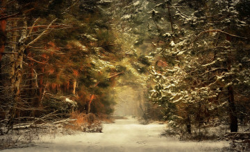 Картинка природа лес простор