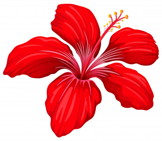 Обои картинки фото векторная графика, цветы , flowers, цветы, фон, лепестки