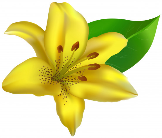 Обои картинки фото векторная графика, цветы , flowers, цветы, фон, лепестки