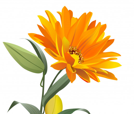 Обои картинки фото векторная графика, цветы , flowers, цветы, фон, лепестки