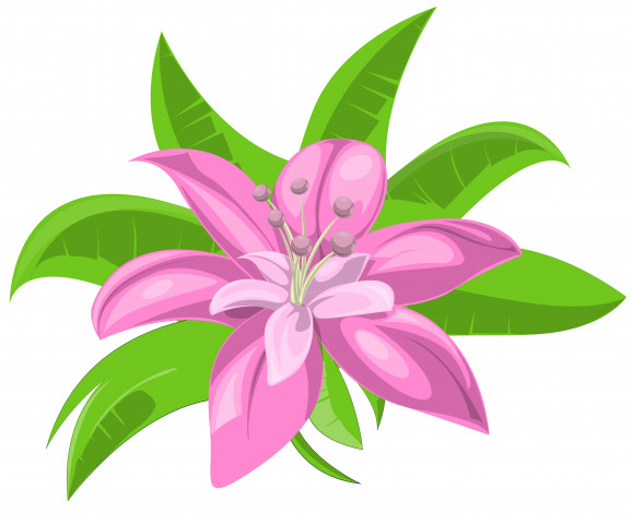 Обои картинки фото векторная графика, цветы , flowers, цветы, фон, лепестки