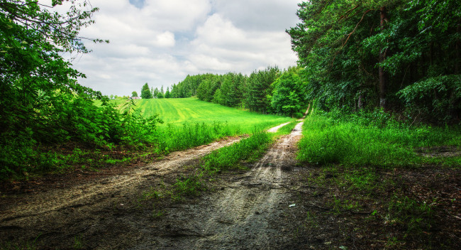 Обои картинки фото природа, дороги, простор