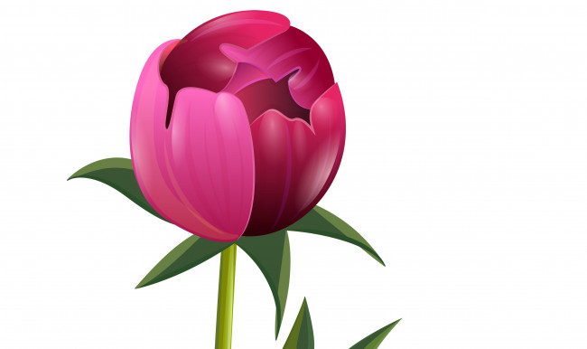 Обои картинки фото векторная графика, цветы , flowers, цветы, фон, лепестки