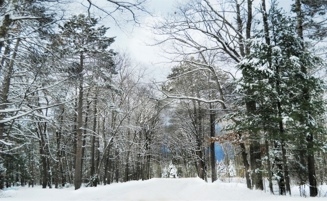 Обои картинки фото природа, зима, простор