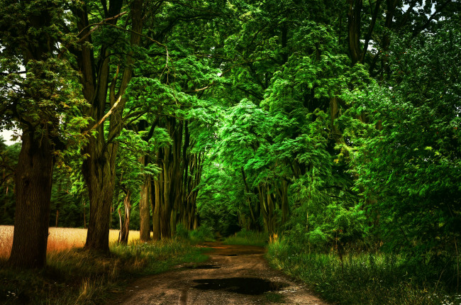 Обои картинки фото природа, дороги, простор