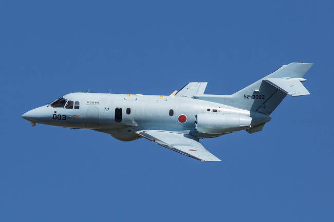 Обои картинки фото raytheon u-125a, авиация, военно-транспортные самолёты, транспорт, войсковой