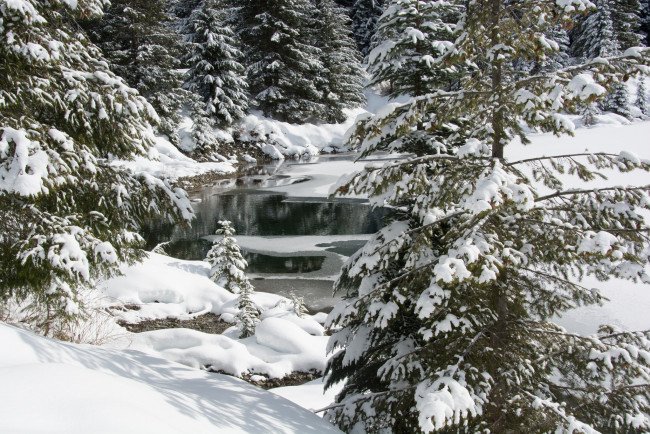 Обои картинки фото природа, зима, простор