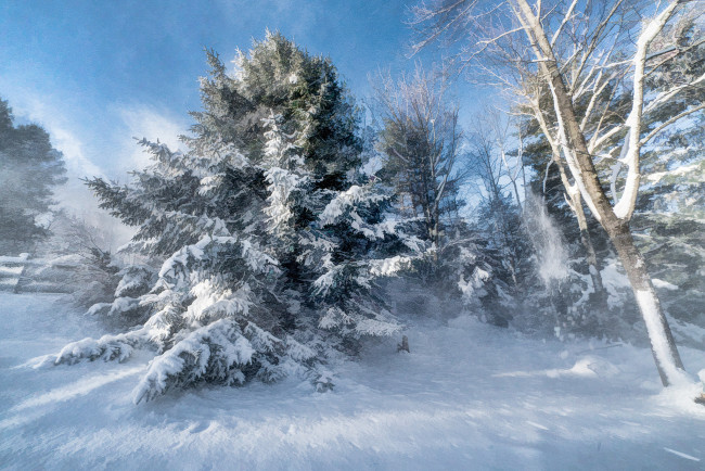 Обои картинки фото природа, зима, простор