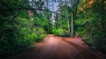 Картинка природа дороги простор