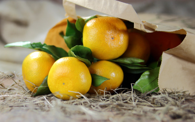 Обои картинки фото еда, цитрусы, пакет, листья, солома, мандарины