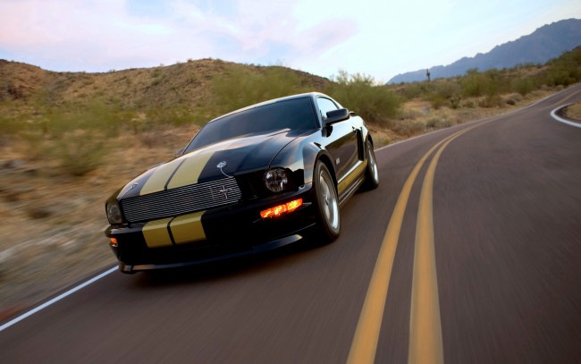 Обои картинки фото автомобили, mustang, форд, шелби, черный, полосы, шоссе, дорога