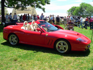 Картинка ferrari автомобили