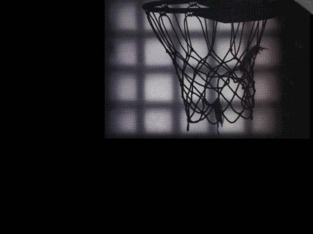 Обои картинки фото спорт, баскетбол