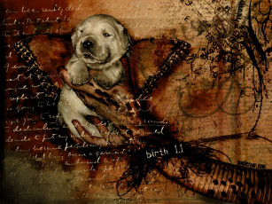 Картинка разное компьютерный дизайн