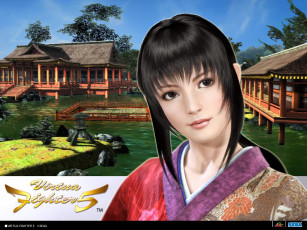 Картинка видео игры virtua fighter