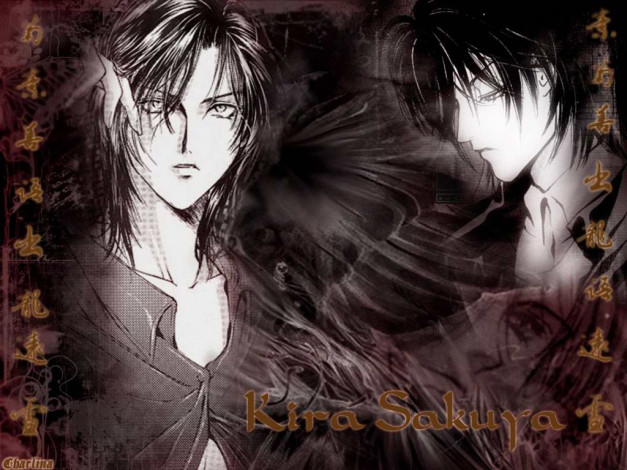 Обои картинки фото кира, сакуйа, аниме, angel, sanctuary