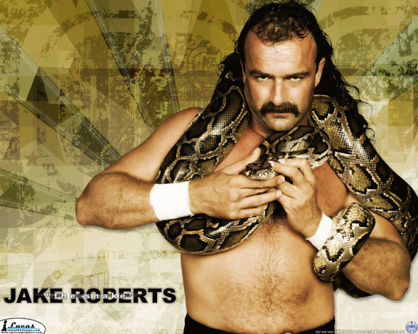 Обои картинки фото спорт, wwe