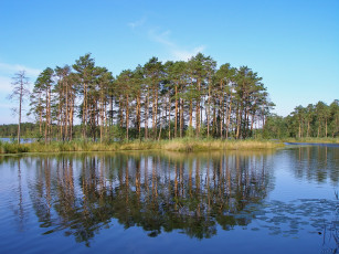 Картинка природа реки озера