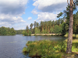 Картинка природа реки озера