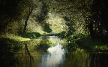 Картинка природа реки озера