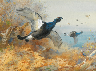 Картинка рисованные archibald thorburn