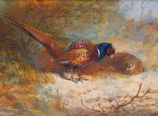 Картинка рисованные archibald thorburn