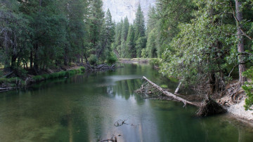 Картинка природа реки озера деревья вода