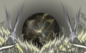 Картинка 3д графика fractal фракталы цвета фон узор