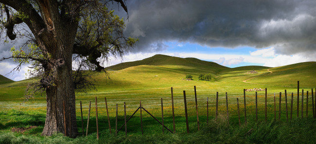 Обои картинки фото природа, деревья, забор, облака, луга, дерево, холмы, дорога