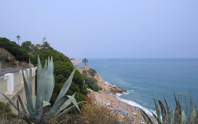 Обои картинки фото природа, побережье, море, пляж, дорога, кактусы