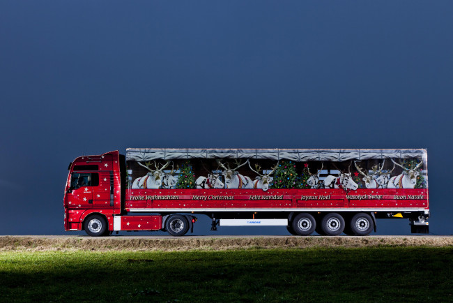 Обои картинки фото автомобили, man