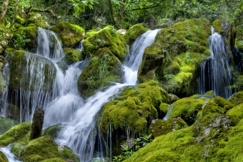 Картинка природа реки озера мох камни вода