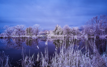 Картинка пейзаж природа реки озера иней деревья озеро беседка