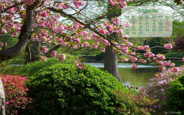 Картинка календари природа парк